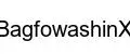 BagfowashinX