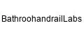 BathroohandrailLabs