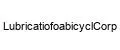 LubricatiofoabicyclCorp