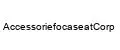 AccessoriefocaseatCorp