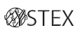 YSTEX