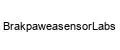 BrakpaweasensorLabs
