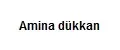 Amina dükkan