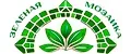 Зеленая мозаика