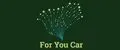 For You Car