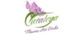 Cataleya Flowers Art Studio