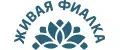Живая фиалка