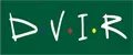 DVIR kids