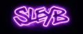 SLEYB