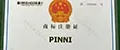 PINNI