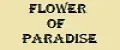 Flower of Paradise