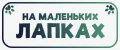 На маленьких лапках