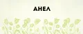 АНЕЛ