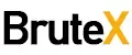 BruteX