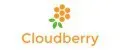 Cloudberry cake