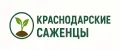 Краснодарские саженцы
