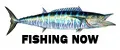 FISHING NOW