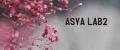 ASYA LAB2