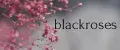 blackrose