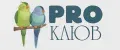 PRO КЛЮВ