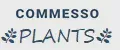 COMMESSO PLANTS