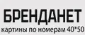 БрендаНет 40на50