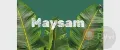 Maysam