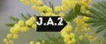J.A.2