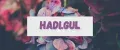 HADI.GUL