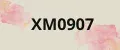 ХМ0907