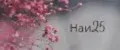 Наи25