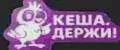 КЕША ДЕРЖИ
