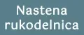 Nastena rukodeinica
