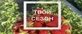 ТВОЙ СЕЗОН