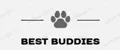 Best Buddies