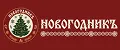 Новогодникъ