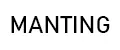 Manting