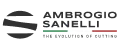 Sanelli Ambrogio