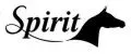 Spirit