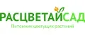 РАСЦВЕТАЙСАД