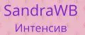 Santa Интенсив