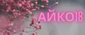 Айко18