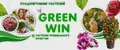 GREEN WIN