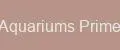 Aquariums Prime