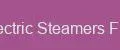 Electric Steamers Flex