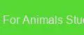 Oil For Animals Studio