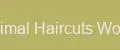 Animal Haircuts World