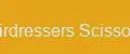 The Hairdressers Scissors Craft