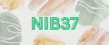 Nib37