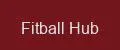 Fitball Hub